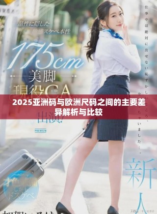 2025亞洲碼與歐洲尺碼之間的主要差異解析與比較