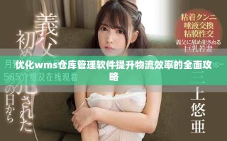 優(yōu)化wms倉(cāng)庫(kù)管理軟件提升物流效率的全面攻略