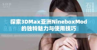 探索3DMax亞洲NineboxMod的獨(dú)特魅力與使用技巧