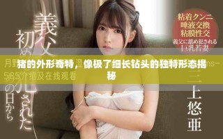 豬的外形奇特，像極了細(xì)長鉆頭的獨(dú)特形態(tài)揭秘