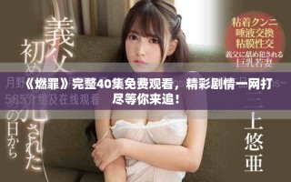 《燃罪》完整40集免費觀看，精彩劇情一網(wǎng)打盡等你來追！
