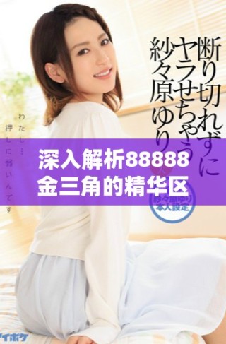深入解析88888金三角的精華區(qū)與二區(qū)的主要區(qū)別與特點