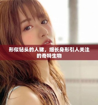 形似鉆頭的人豬，細長身形引人關注的奇特生物