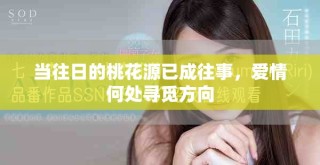 當(dāng)往日的桃花源已成往事，愛情何處尋覓方向