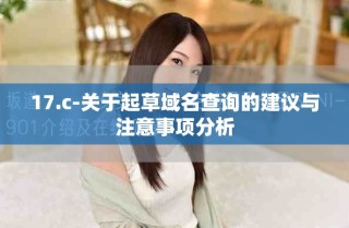 17.c-關(guān)于起草域名查詢的建議與注意事項分析