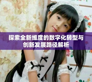 探索全新維度的數(shù)字化轉(zhuǎn)型與創(chuàng)新發(fā)展路徑解析