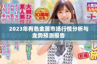 2023年有色金屬市場行情分析與走勢預(yù)測報(bào)告