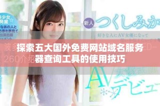 探索五大國(guó)外免費(fèi)網(wǎng)站域名服務(wù)器查詢工具的使用技巧