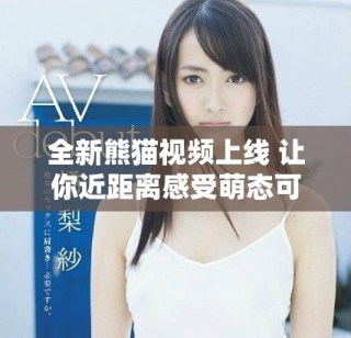 全新熊貓視頻上線 讓你近距離感受萌態(tài)可掬的熊貓生活