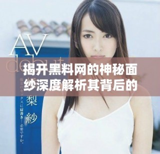 揭開黑料網(wǎng)的神秘面紗深度解析其背后的真相與影響