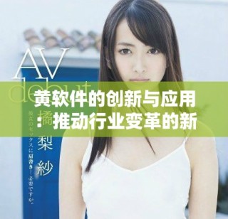 黃軟件的創(chuàng)新與應(yīng)用：推動行業(yè)變革的新工具與解決方案