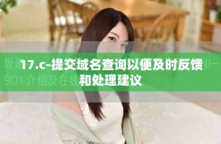17.c-提交域名查詢以便及時反饋和處理建議