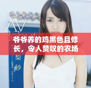 爺爺養(yǎng)的雞黑色且修長(zhǎng)，令人贊嘆的農(nóng)場(chǎng)生活