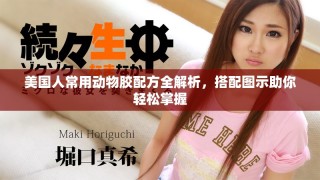 美國人常用動物膠配方全解析，搭配圖示助你輕松掌握