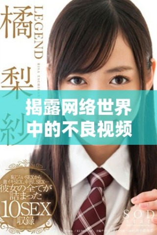 揭露網(wǎng)絡(luò)世界中的不良視頻內(nèi)容與其對(duì)青少年的潛在影響分析