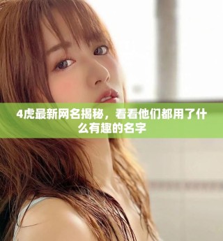4虎最新網(wǎng)名揭秘，看看他們都用了什么有趣的名字