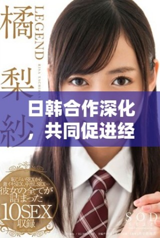 日韓合作深化，共同促進(jìn)經(jīng)濟(jì)與文化發(fā)展新機(jī)遇