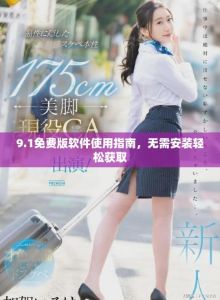 9.1免費(fèi)版軟件使用指南，無需安裝輕松獲取