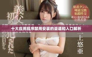 十大應(yīng)用程序禁用安裝的渠道和入口解析