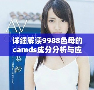 詳細(xì)解讀9988色母的camds成分分析與應(yīng)用價值