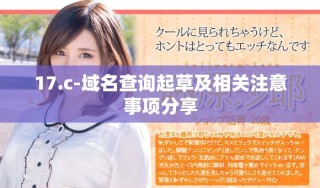 17.c-域名查詢起草及相關(guān)注意事項(xiàng)分享