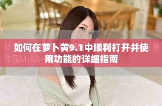 如何在蘿卜黃9.1中順利打開并使用功能的詳細(xì)指南