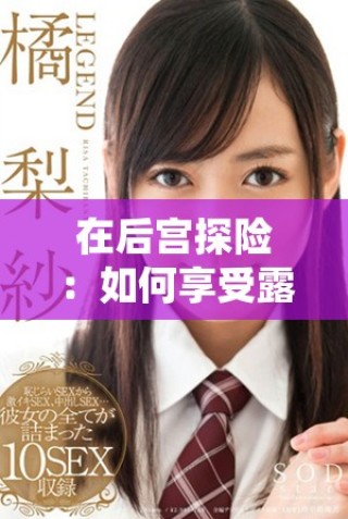 在后宮探險(xiǎn)：如何享受露營(yíng)帶來的獨(dú)特魅力與樂趣