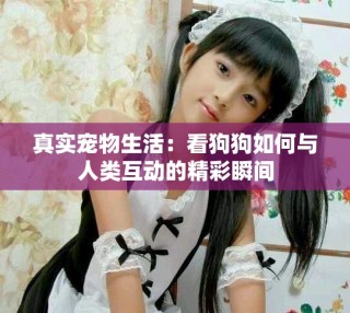 真實(shí)寵物生活：看狗狗如何與人類互動(dòng)的精彩瞬間