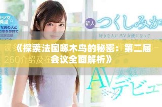 《探索法國啄木鳥的秘密：第二屆會議全面解析》