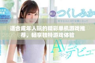 適合成年人玩的精彩單機(jī)游戲推薦，暢享獨(dú)特游戲體驗(yàn)