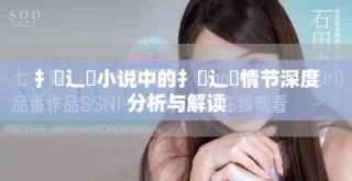 扌喿辶畐小說(shuō)中的扌喿辶畐情節(jié)深度分析與解讀