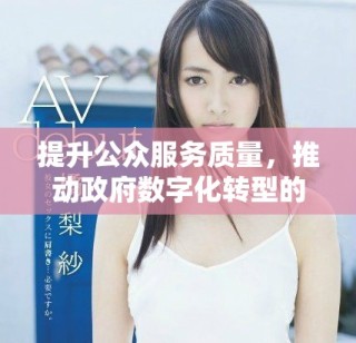 提升公眾服務(wù)質(zhì)量，推動(dòng)政府?dāng)?shù)字化轉(zhuǎn)型的新舉措與實(shí)踐探討