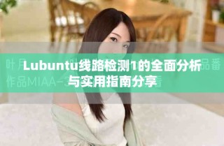 Lubuntu線路檢測1的全面分析與實用指南分享