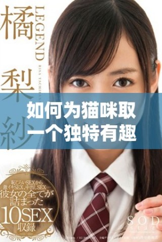 如何為貓咪取一個(gè)獨(dú)特有趣的地域網(wǎng)名技巧分享