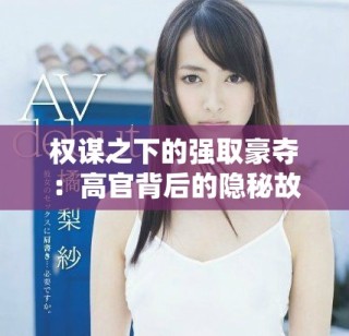 權(quán)謀之下的強取豪奪：高官背后的隱秘故事與權(quán)力游戲