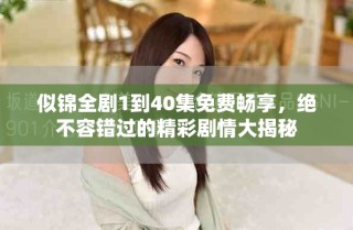 似錦全劇1到40集免費暢享，絕不容錯過的精彩劇情大揭秘