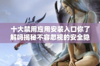 十大禁用應(yīng)用安裝入口你了解嗎揭秘不容忽視的安全隱患