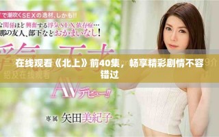 在線觀看《北上》前40集，暢享精彩劇情不容錯(cuò)過