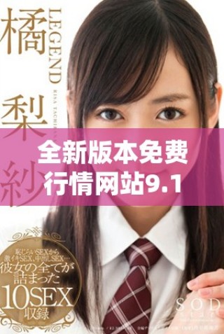全新版本免費(fèi)行情網(wǎng)站9.1下載安裝指南與操作步驟解析