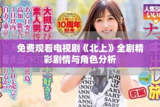 免費(fèi)觀看電視劇《北上》全劇精彩劇情與角色分析