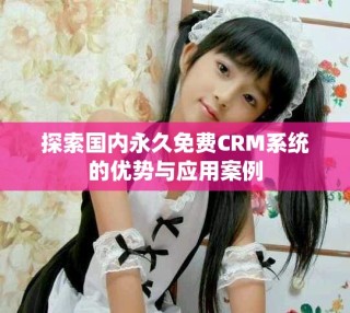 探索國內(nèi)永久免費CRM系統(tǒng)的優(yōu)勢與應用案例