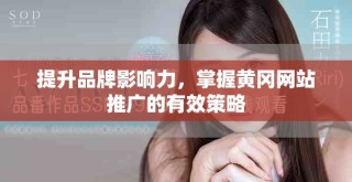 提升品牌影響力，掌握黃岡網(wǎng)站推廣的有效策略