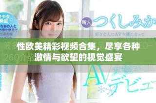 性歐美精彩視頻合集，盡享各種激情與欲望的視覺盛宴