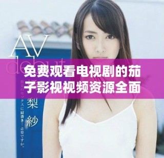 免費(fèi)觀看電視劇的茄子影視視頻資源全面介紹