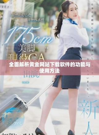 全面解析黃金網(wǎng)站下載軟件的功能與使用方法