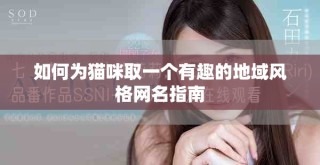 如何為貓咪取一個(gè)有趣的地域風(fēng)格網(wǎng)名指南