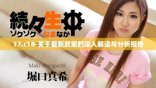 17.c18-關于最新政策的深入解讀與分析報告