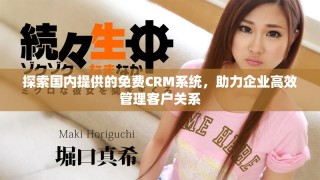 探索國內(nèi)提供的免費(fèi)CRM系統(tǒng)，助力企業(yè)高效管理客戶關(guān)系