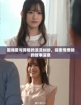 圍繞愛與背叛的浪漫糾紛，探索鴛鴦鎖的故事深意