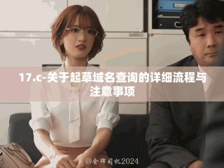 17.c-關(guān)于起草域名查詢的詳細(xì)流程與注意事項(xiàng)